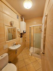 een badkamer met een toilet, een wastafel en een douche bij Apartamenty na Starówce in Kalisz
