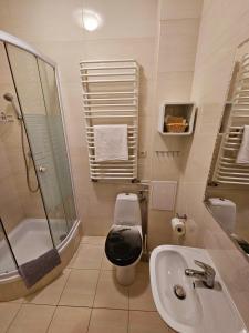 ein Bad mit einem WC, einem Waschbecken und einer Dusche in der Unterkunft Apartamenty na Starówce in Kalisz