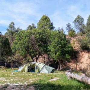 une tente dans un champ à côté des arbres dans l'établissement El Rebost de Penyagalera, à Beceite