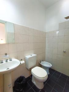 La salle de bains est pourvue de toilettes et d'un lavabo. dans l'établissement Hotel Estrella Andina, à San Juan