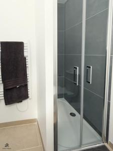 une salle de bain avec une douche avec une porte vitrée dans l'établissement La résidence Jeanne d'Arc 1 , Troyes - France, à Troyes