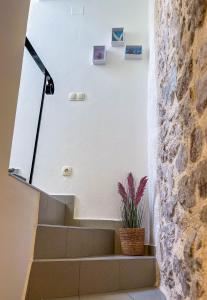 a staircase in a house with a plant at Lavanda in Tribunj