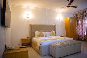 een slaapkamer met een groot bed en een televisie bij ROSES REGENCY HOTEL AND SUITES in Abuja