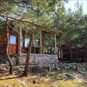 a log home with a stone wall and trees at ida bay doğa evleri in Edremit