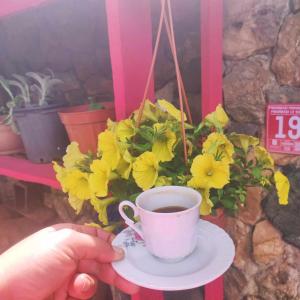 Fotografie z fotogalerie ubytování ida bay doğa evleri v destinaci Edremit + 17 fotografií