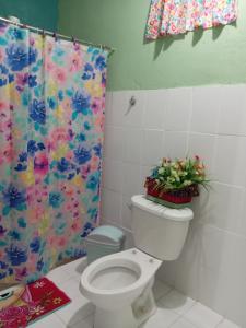 a bathroom with a toilet and a shower curtain at Villa la paz in Valle de Anton