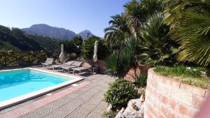 a backyard with a swimming pool and palm trees at La Cicogna in Agerola