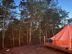 an orange tent in the middle of a forest at 10 point landing Mammoth Cave Glamping Sublimity in Horse Cave