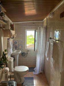 a bathroom with a toilet and a sink at Stamoula' s house in Aigáni
