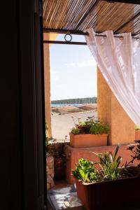 una porta aperta su un patio con piante in vaso di Casa Marco a Golfo Aranci