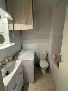 ein kleines Badezimmer mit Toilette und Waschbecken in der Unterkunft Charmant Studio de 28 M2 in Brando