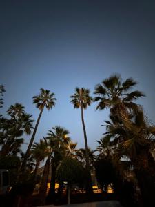 Fotografia z galérie ubytovania Chayofa Paraiso, apartamento Tenerife Sur v destinácii Chayofa