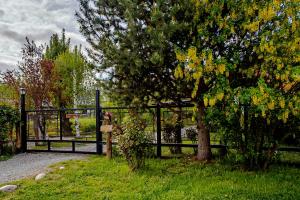 En have udenfor Cabañas Patagonia Rupestre