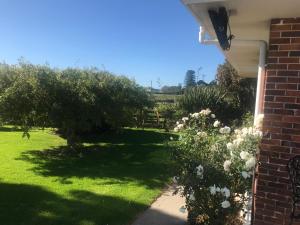 a yard with green grass and white flowers at Robyn's Nest in Sentry Hill