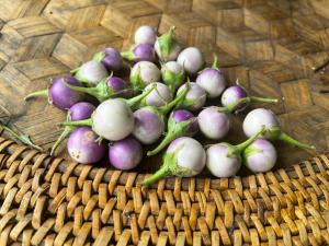 un montón de verduras púrpuras y blancas en una cesta en Home 89 - Homestay & Retreat en Trai Ðỏ