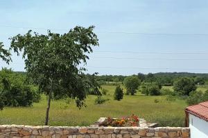 a stone wall with a tree in a field at Holiday house with a swimming pool Puljane, Krka - 23038 in Drniš