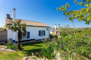 Zahrada ubytování Holiday house with a swimming pool Vinez, Labin - 22240