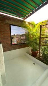 a patio with a window and plants in a building at Glamping La Cepa GUATAPÉ in Guatapé