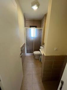 a small bathroom with a toilet and a shower at Apartment in Marassi in El Alamein