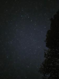 Una noche estrellada con un árbol en primer plano en Azienda Agricola Ausono, en Piaggine