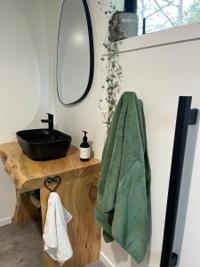 un bagno con lavandino e specchio di Rest and Relax a Karangahake
