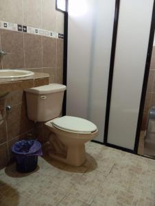 ミナティトランにあるHotel Juarezのバスルーム(トイレ、洗面台付)