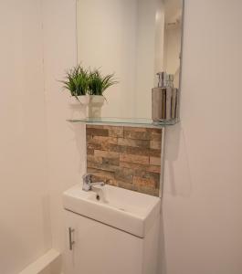 a bathroom with a sink and two plants on a wall at Tranquility Short & Long stays in Eastbourne