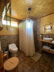 a bathroom with a toilet and a shower and a sink at Lodge la Arboleda de Paz in Oxapampa