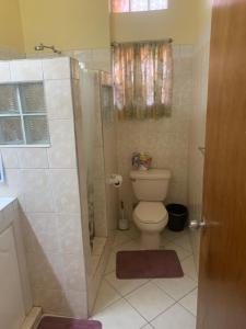 a bathroom with a toilet and a shower with a glass door at Anne Marie Villas in Castries