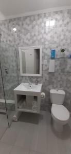 a bathroom with a toilet and a sink and a mirror at Riverside Apartments Bed and Breakfast in San Juan
