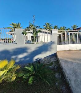 een palmboom voor een wit hek bij Mount Olivet House in Suva