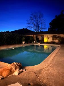 Φωτογραφία από το άλμπουμ του Best property in Benbow with a salt pool-river-redwoods σε Garberville