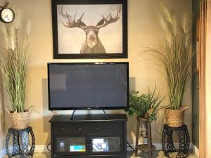 TV i/ili multimedijalni sistem u objektu Lazy Lake, private and secluded