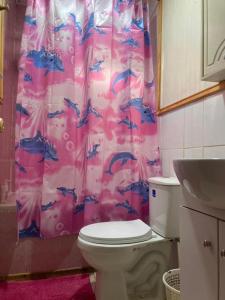 baño con aseo y cortina de ducha con delfines en Casa Cabaña Oro Rayado Puerto Varas, en Puerto Varas