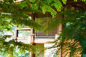 una ventana en el lateral de un edificio con árboles en Harmony Botanical en Buon Ma Thuot