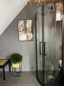 a bathroom with a shower and a picture of a dog in a sink at Rakši in Cēsis