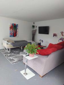 a living room with a couch and a tv at Garden View on Hone Heke Kerikeri in Kerikeri