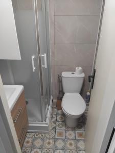 a small bathroom with a toilet and a shower at studio hyeres port et iles d'or. in Hyères