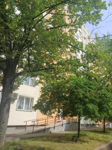 un bâtiment avec un banc devant un arbre dans l'établissement The Budapest View Apartment, à Budapest