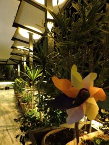 a bird is sitting on top of some plants at Başar hotel in Erdemli