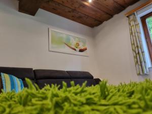 Posezení v ubytování Apartment Auszeit