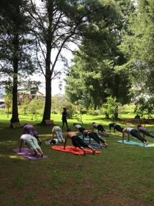 um grupo de pessoas fazendo yoga em um parque em Hotel Temazcal Kinam em Atlautla