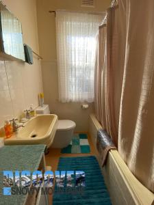 a bathroom with a sink and a toilet and a shower at Inglewood Cottage in Adaminaby