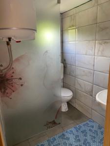 a bathroom with a shower with a toilet and a sink at Bungalovi Mihajlo & Miloš in Tjentište