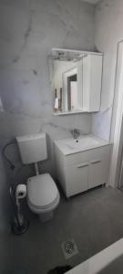 a bathroom with a toilet and a sink and a mirror at Apartments Marijana in Zavalatica