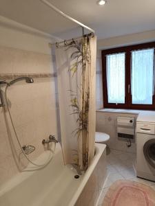 イントラーニャにあるCasa Chiaraのバスルーム(バスタブ、トイレ、シャワー付)