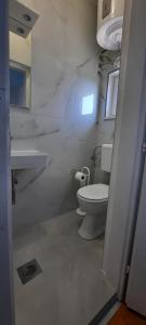 a white bathroom with a toilet and a sink at Apartments Marijana in Zavalatica