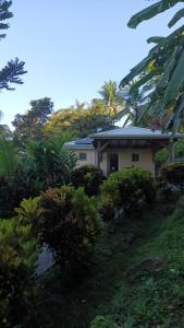 Zahrada ubytování Martinique La petite maison dans la Colline