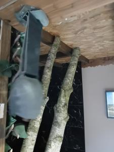a ceiling that has been taped up with logs at La Grange de Paul au Domaine du Reuze in Winnezeele