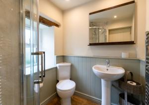 a bathroom with a toilet and a sink and a mirror at Owl Cottage in Llanerchymedd